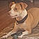 Buster