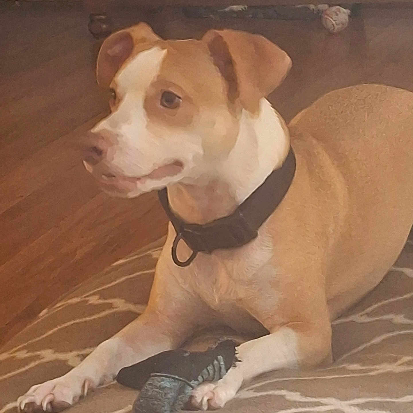 Buster