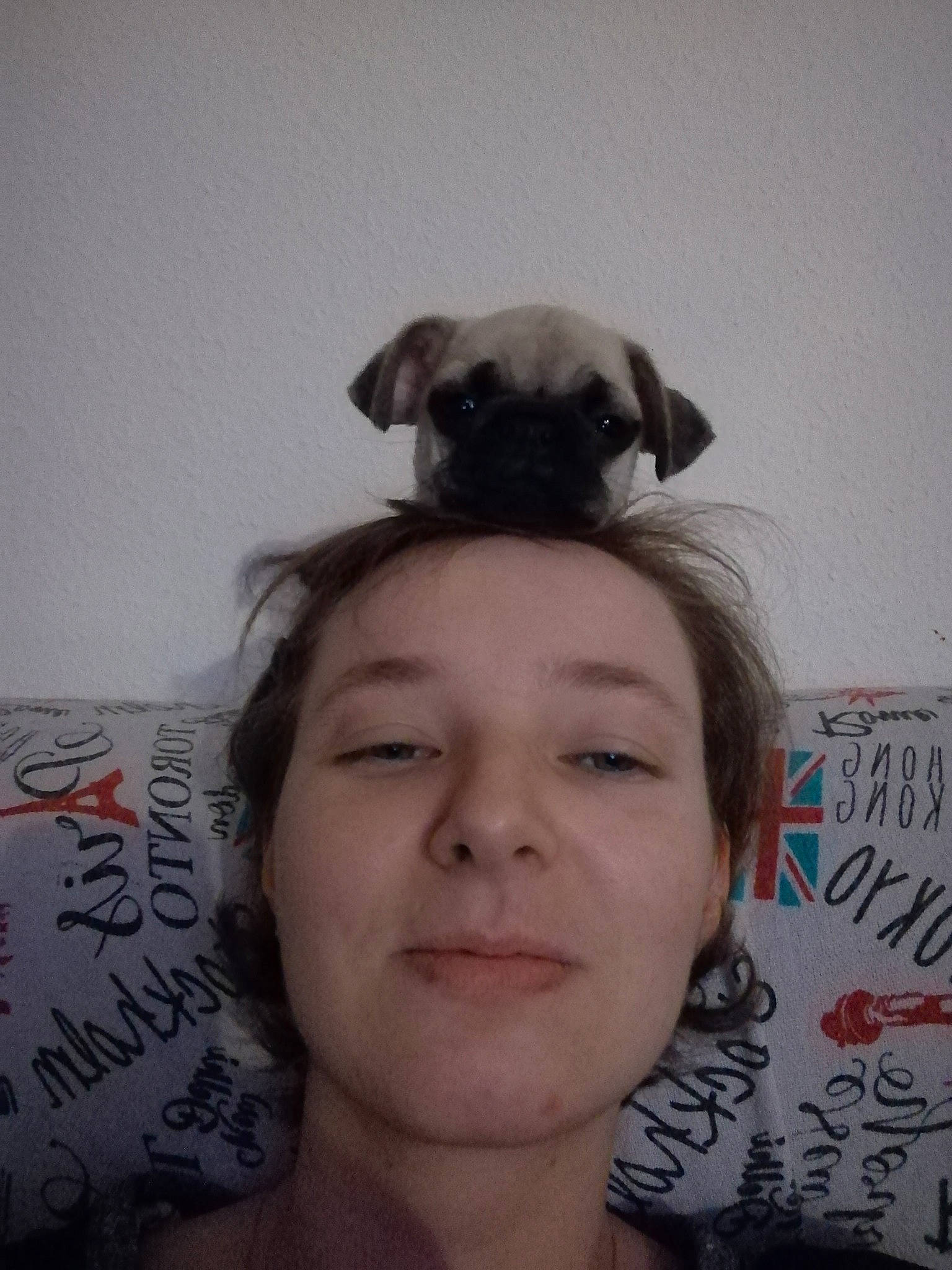 Olaf participe au concours pour gagner de l'argent avec cette photo : canidae, carnivore, companion_dog, dog, dog_breed, ear, face, fawn, head, person, pug, puppy, puppy_love, selfie, skin, snout, toy_dog