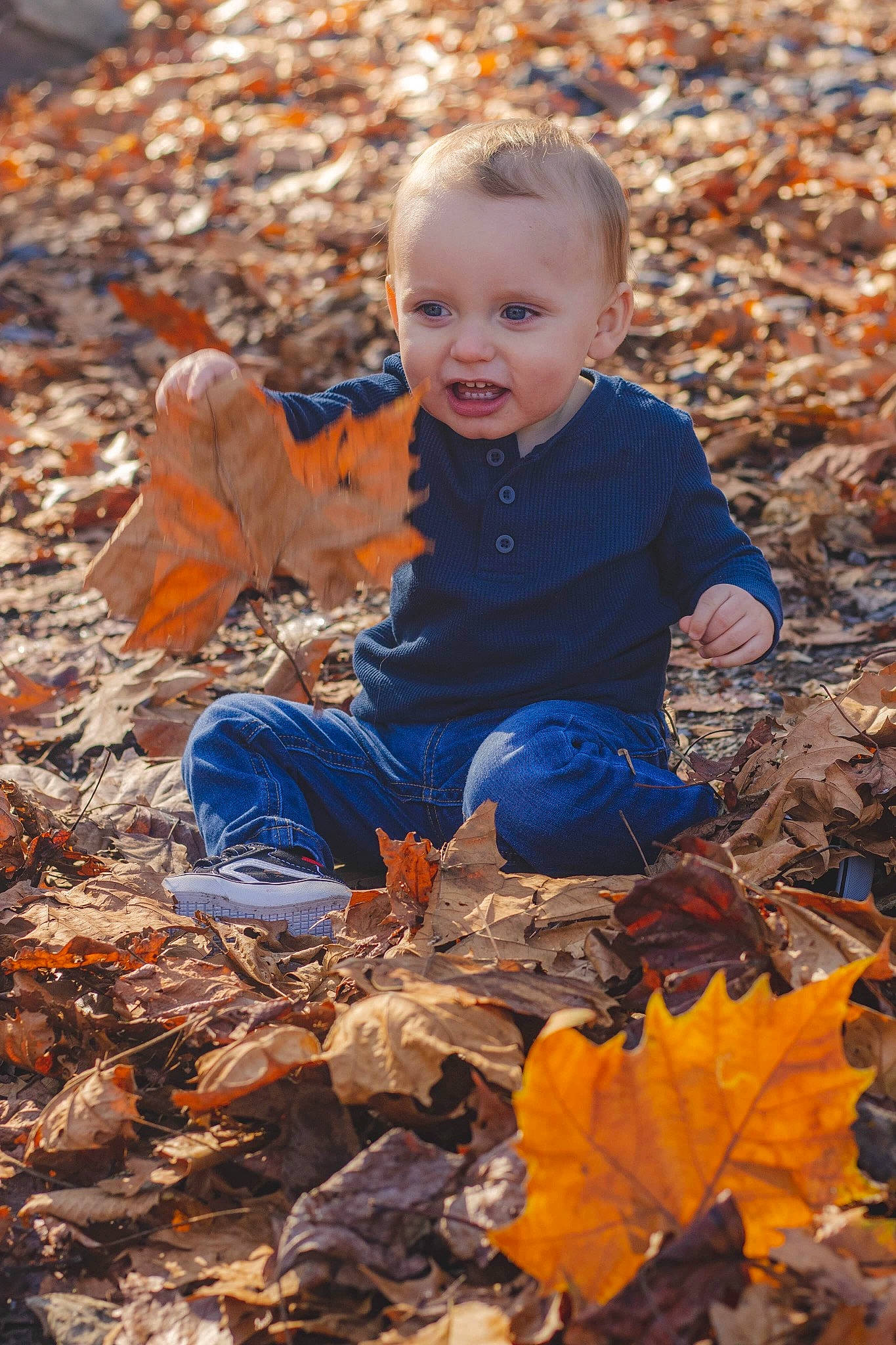 Klayton joined the competition — help win amazing prizes! autumn, child, deciduous, fawn, leaf, orange, person, plant, sitting, smile, toddler, tree, wood, yellow