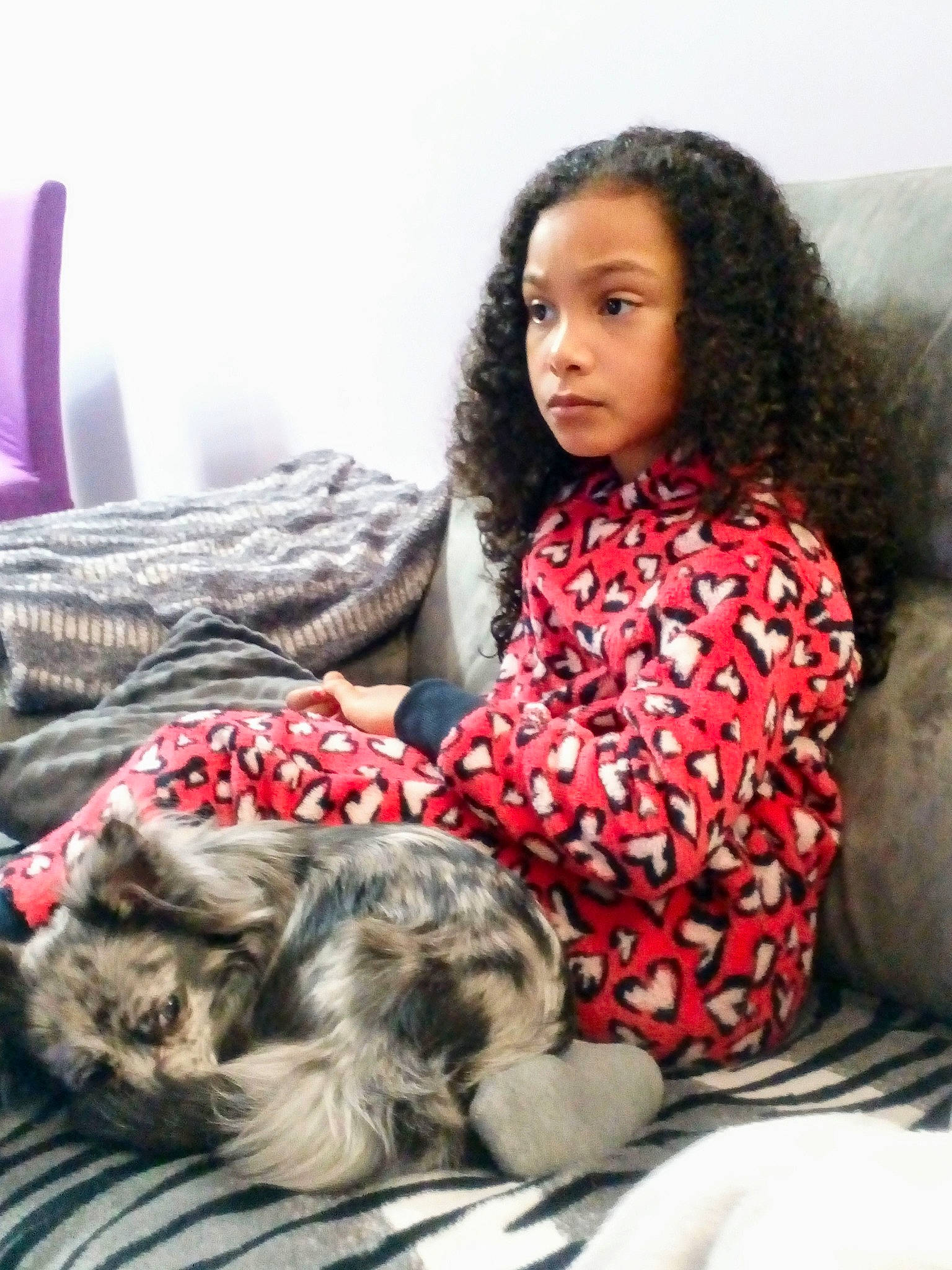 Heïdy participe au concours pour gagner de l'argent avec cette photo : black_hair, brown_hair, carnivore, child, comfort, companion_dog, couch, dog, fashion_design, fawn, felidae, fur, hair, human_leg, long_hair, pattern, person, sitting, thigh, toy_dog