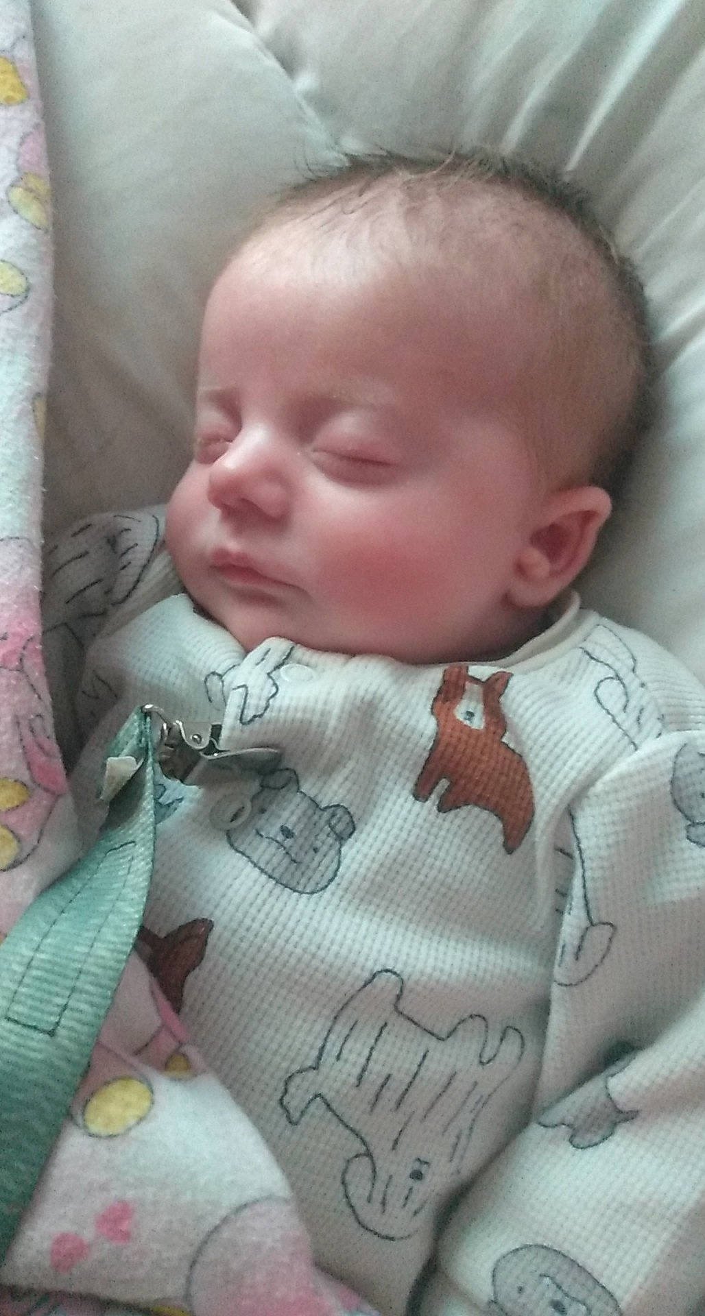 Elena is registered to the contest to win money with this photo: baby, baby_products, baby_sleeping, baby_toddler_clothing, bedtime, blanket, cheek, child, comfort, eyelash, head, iris, linens, nose, pattern, person, product, skin, sleep, sleeve