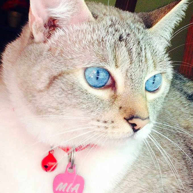 Mia is registered to the contest to win money with this photo: