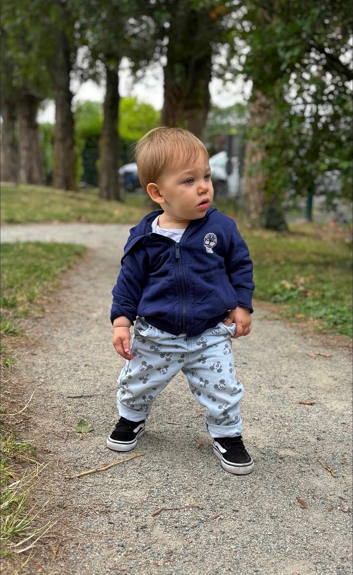 Marceau participe au concours pour gagner de l'argent avec cette photo : toddler, child, park, path, trees, grass, hoodie, pants, mickey_mouse, shoes, black_shoes, nature, outdoor, casual_clothing, curious, standing, young_child, daylight, greenery, person