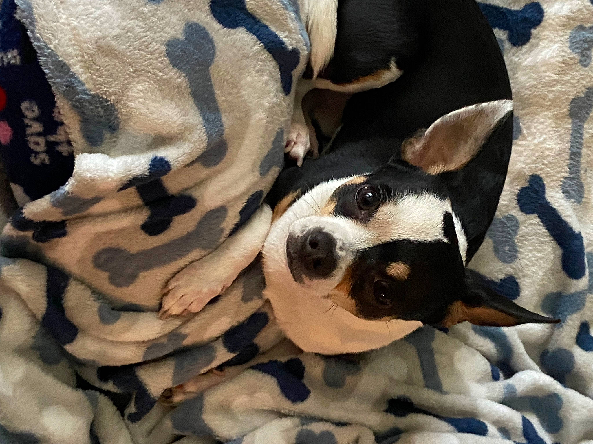 Diego is registered to the contest to win money with this photo: