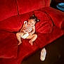 Cadence joined the competition — help win amazing prizes! toddler, sleeping, couch, red_couch, baby_bottle, hair_ties, indoor, child, furniture, relaxing, nap, infant, person, diaper, clothing, table, wood, home, casual, blur