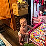 Anthony joined the competition — help win amazing prizes! toddler, child, diaper, bed, toy, stuffed_animal, plush_frog, colorful_bedspread, wooden_floor, closet, clothing, storage_drawer, cardboard_boxes, indoor, furniture, person, baby, standing, curious, room