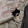 cat, black_and_white, blanket, knitted, cozy, pet, indoor, cute, feline, resting, soft, fur, whiskers, pink_nose, paw, comfort, sleepy, home, relaxing, warm