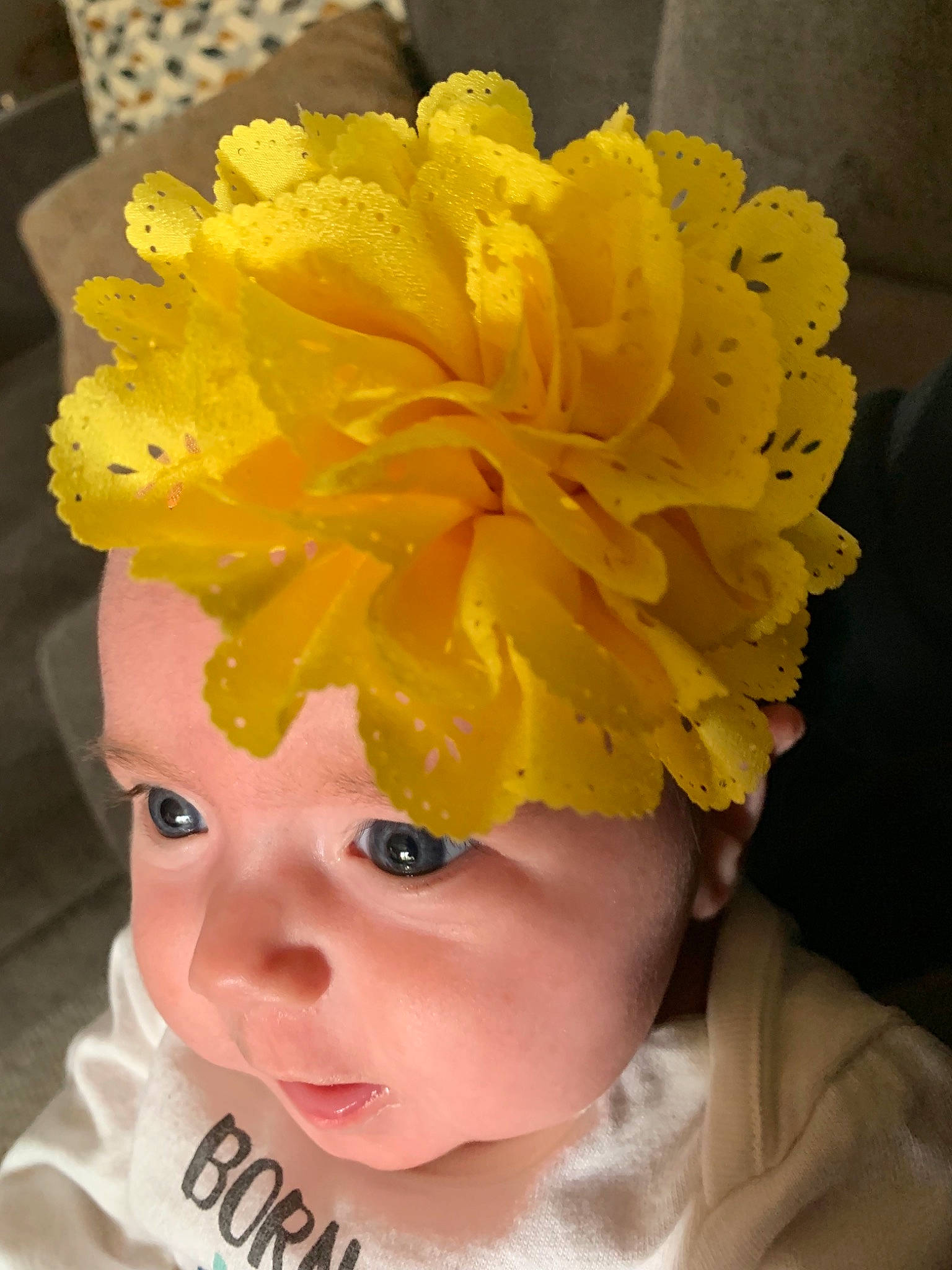 Kilani joined the competition — help win amazing prizes! child, costume_accessory, fashion_accessory, flower, hair_accessory, headgear, headpiece, paper, person, plant, toddler, yellow