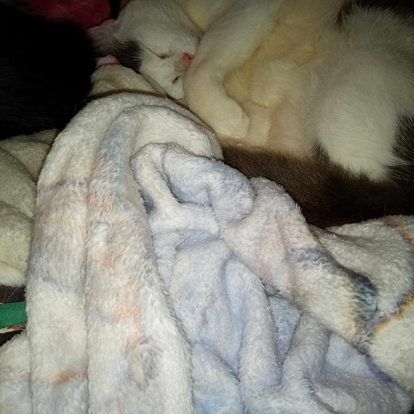 Patches