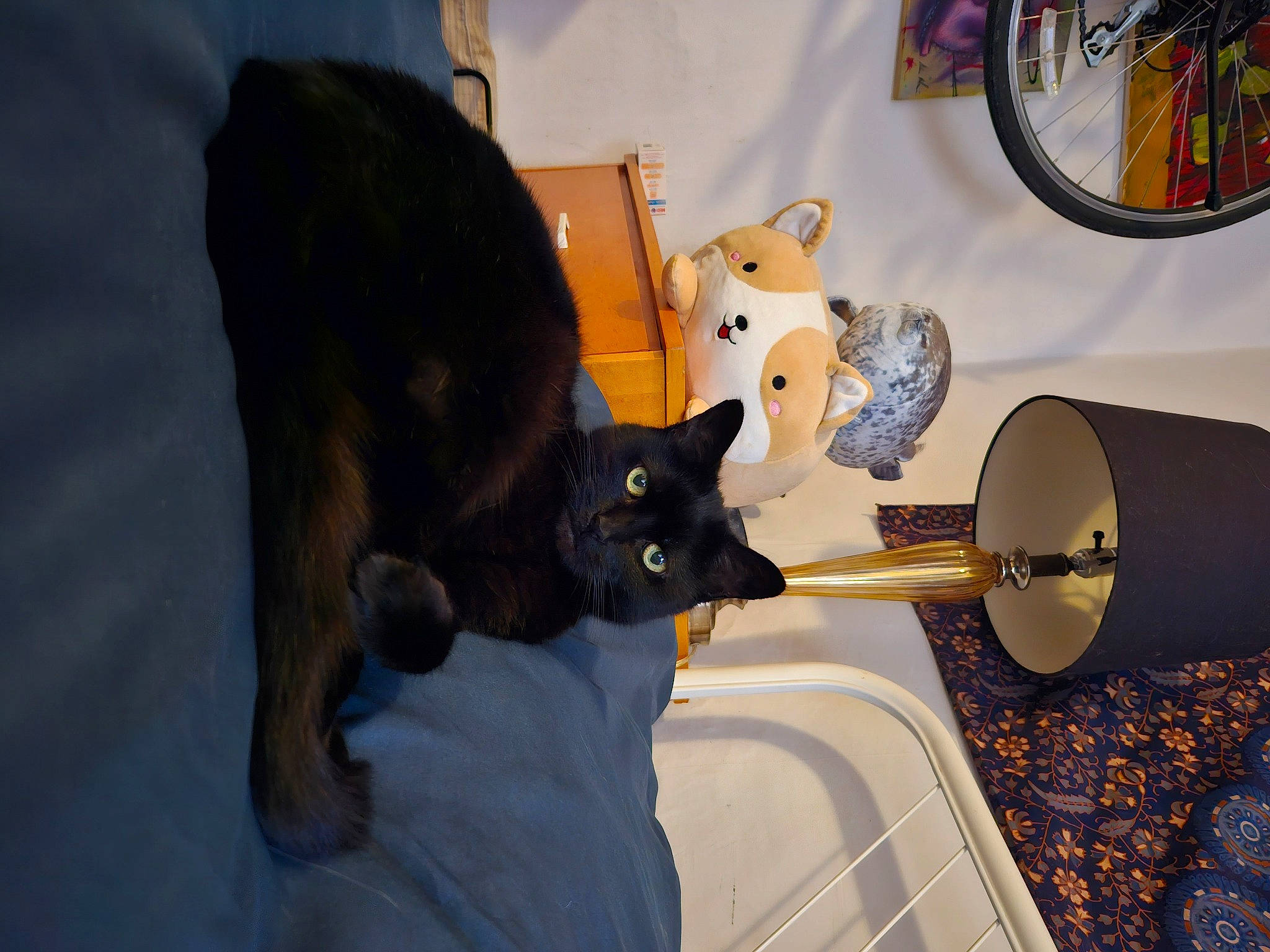 Sylvie is registered to the contest to win money with this photo: animation, art, bombay, cat, circle, domestic_short_haired_cat, drum, felidae, fur, machine, metal, musical_instrument, room, small_to_medium_sized_cats, tail, toy, wheel, whiskers
