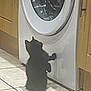 William is registered to the contest to win money with this photo: appliance, cabinet, cat, curiosity, cute, domestic, feline, floor, home, indoor, kitten, laundry, pet, playful, shadow, small_animal, standing, tile_floor, washing_machine, young