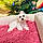 Nova Cane Wyatt