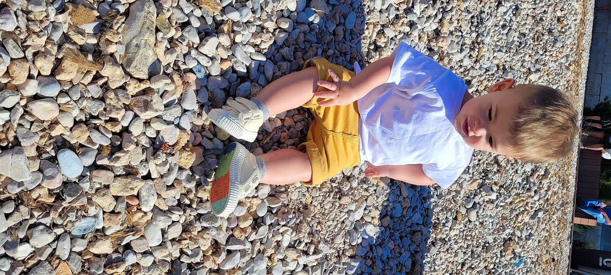 Mylo joined the competition — help win amazing prizes! azure, bedrock, electric_blue, eyewear, foot, fun, grass, human_body, human_leg, landscape, leaf, leg, leisure, people_in_nature, person, rock, sand, sitting, soil, thigh