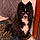 Artus