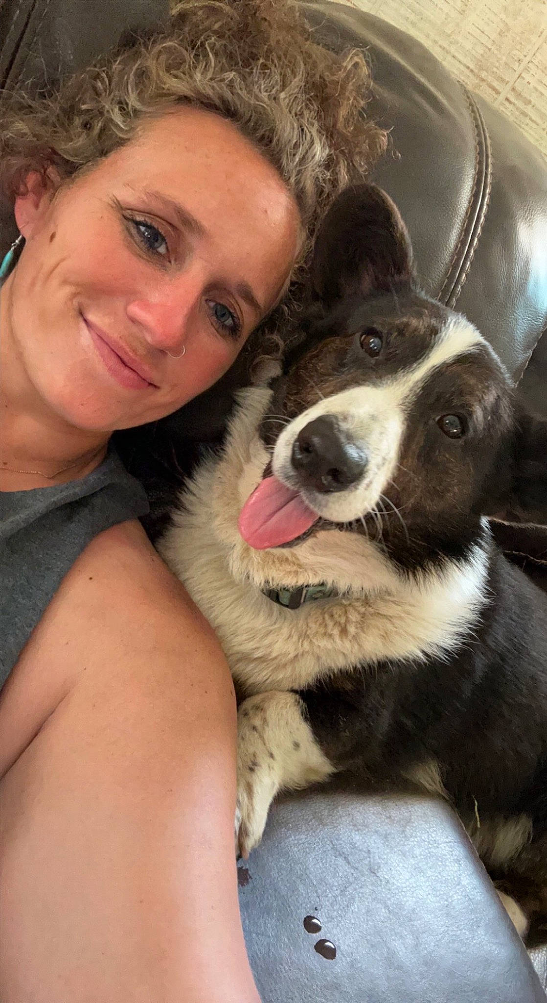 Ace joined the competition — help win amazing prizes! canidae, carnivore, comfort, companion_dog, dog, dog_breed, ear, face, fawn, fur, gesture, happy, herding_dog, jaw, nose, selfie, smile, snout, sporting_group, whiskers