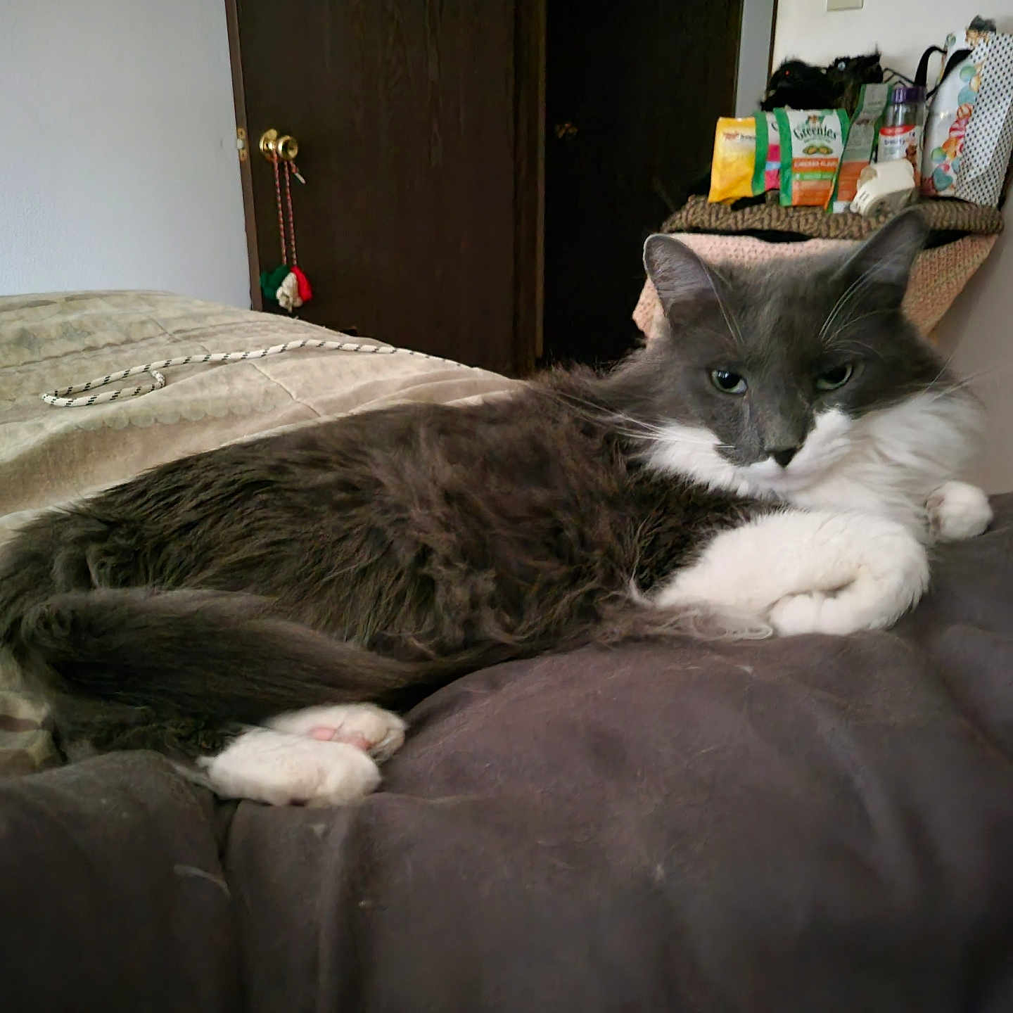 Stinkerbutt