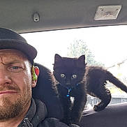 Swyper is registered to the contest to win money with this photo: man, cat, kitten, black_cat, car_interior, cap, earbud, window, outdoor, pet, shoulder, curious, animal, person, beard, casual_clothing, daylight, vehicle, seat, collar