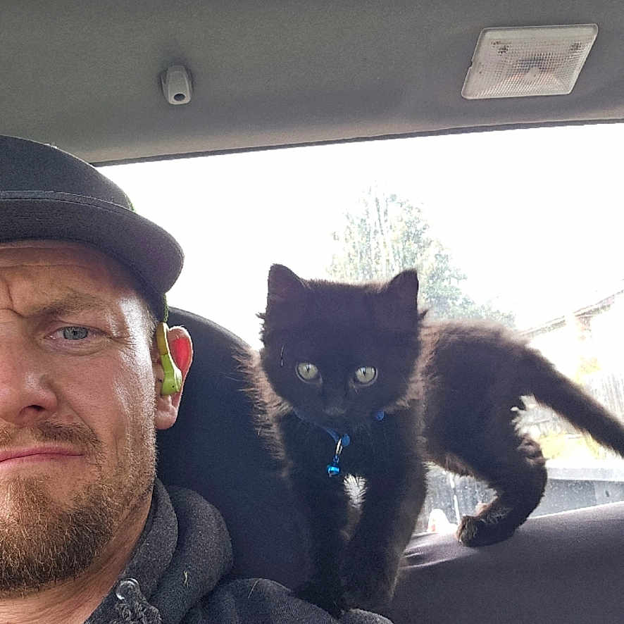 Swyper is registered to the contest to win money with this photo: man, cat, kitten, black_cat, car_interior, cap, earbud, window, outdoor, pet, shoulder, curious, animal, person, beard, casual_clothing, daylight, vehicle, seat, collar