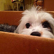 Heather joined the competition — help win amazing prizes!