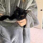 Mischief joined the competition — help win amazing prizes! black_cat, cat, pet, indoor, person, robe, grey_robe, holding, cozy, curious_cat, animal, feline, soft_texture, carpet, door, hand, long_hair, casual, relaxed, home