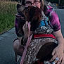 Beau joined the competition — help win amazing prizes! affection, casual_clothing, closeup, collar, companionship, crouching, dog, evening, glasses, grass, harness, hugging, leash, nature, outdoor, person, pets, sidewalk, street, trees