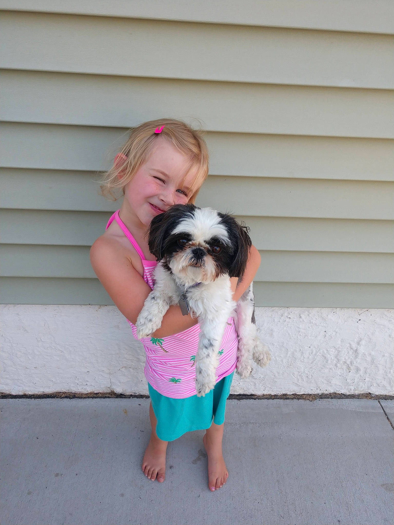 Hailey joined the competition — help win amazing prizes! canidae, carnivore, companion_dog, dog, dog_breed, dog_clothes, dog_supply, dress, eyewear, fawn, fur, glasses, happy, joy, person, pink, shorts, snout, sporting_group, sunglasses