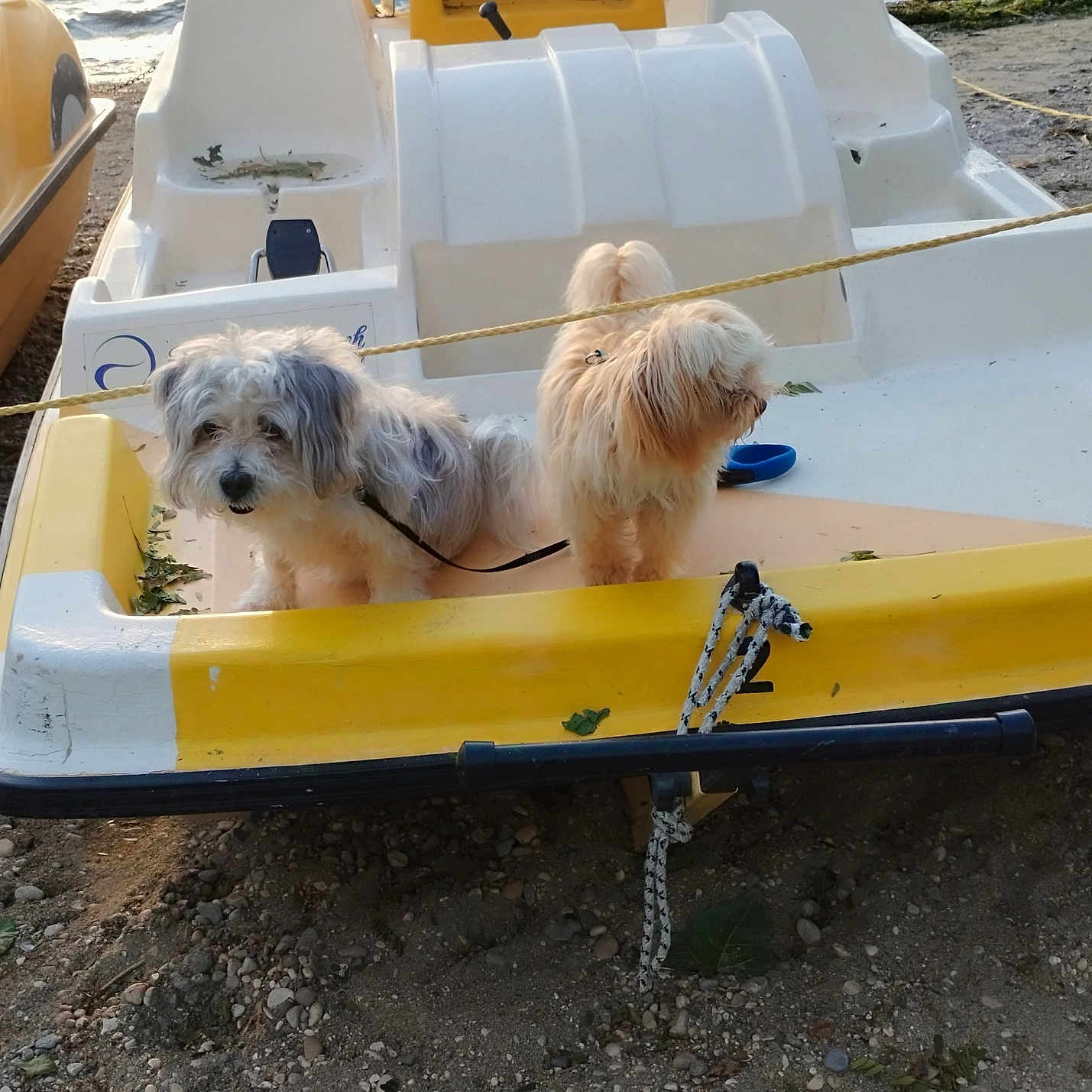 Smyley Et Slow