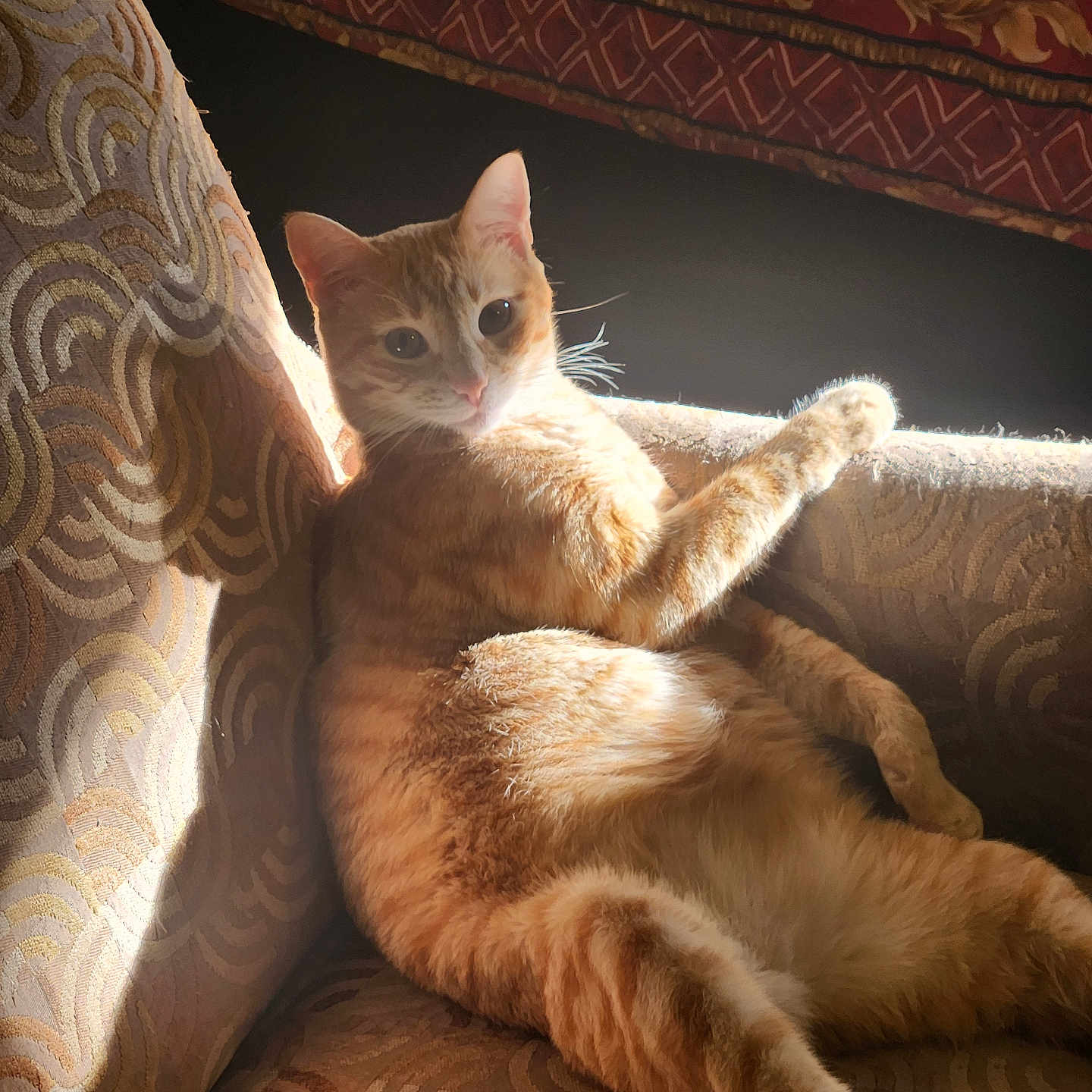 Jax