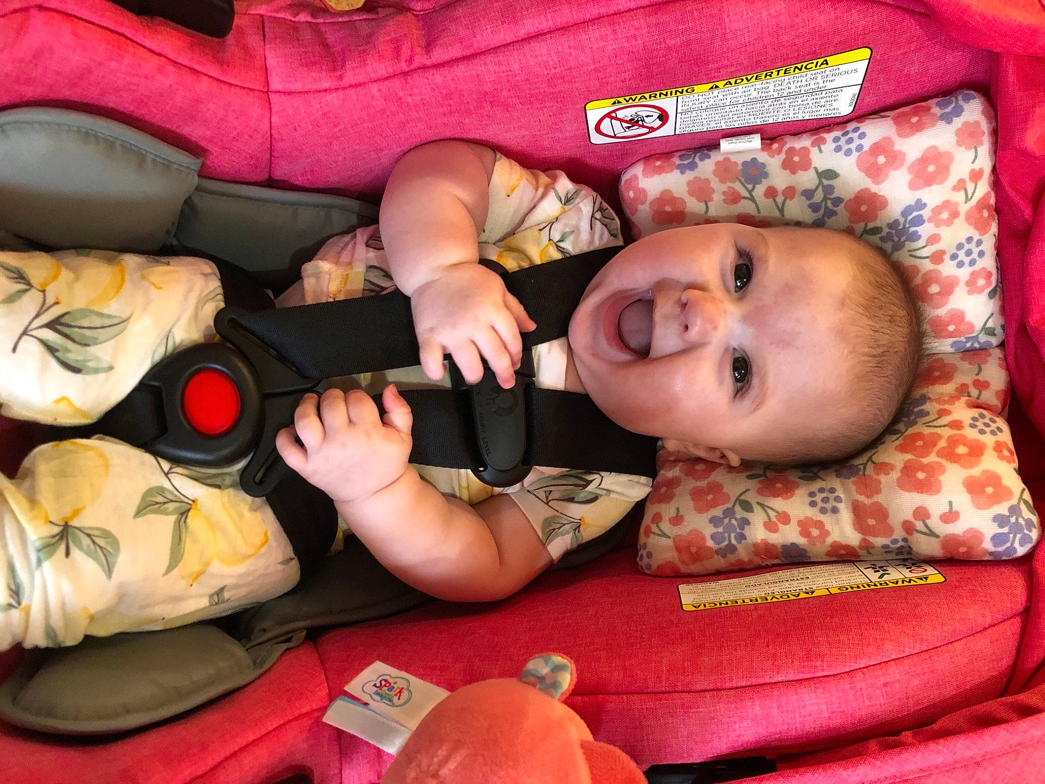 Reagan is registered to the contest to win money with this photo: baby, baby_products, baby_toddler_clothing, bag, cheek, child, comfort, eye, face, finger, fun, head, luggage_and_bags, mammal, mouth, nail, orange, person, room, toddler