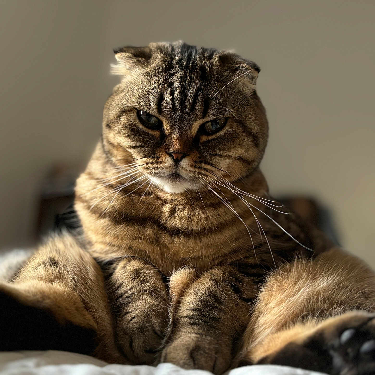 Rosie