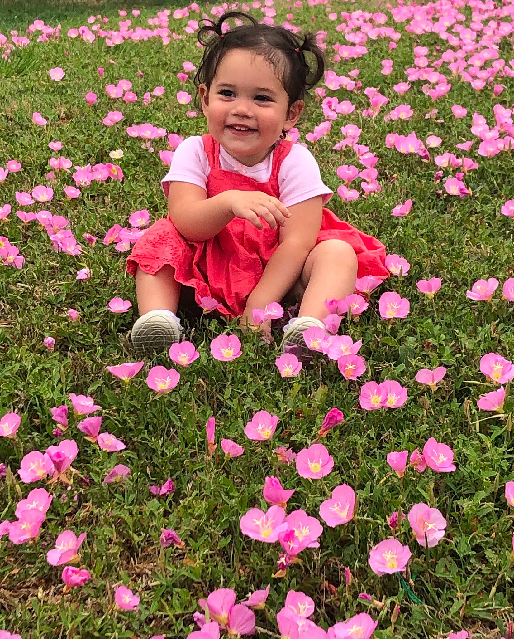 Isabella is registered to the contest to win money with this photo: baby, baby_toddler_clothing, botany, flower, flowering_plant, grass, green, groundcover, happy, joy, leaf, magenta, meadow, natural_environment, people_in_nature, person, petal, pink, plant, red