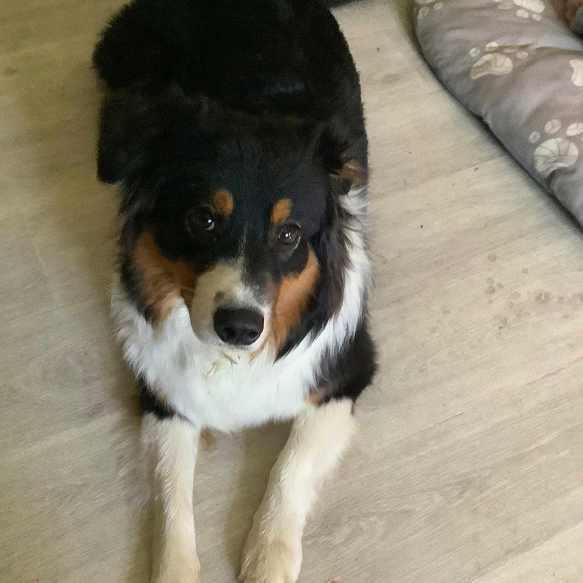 Naya