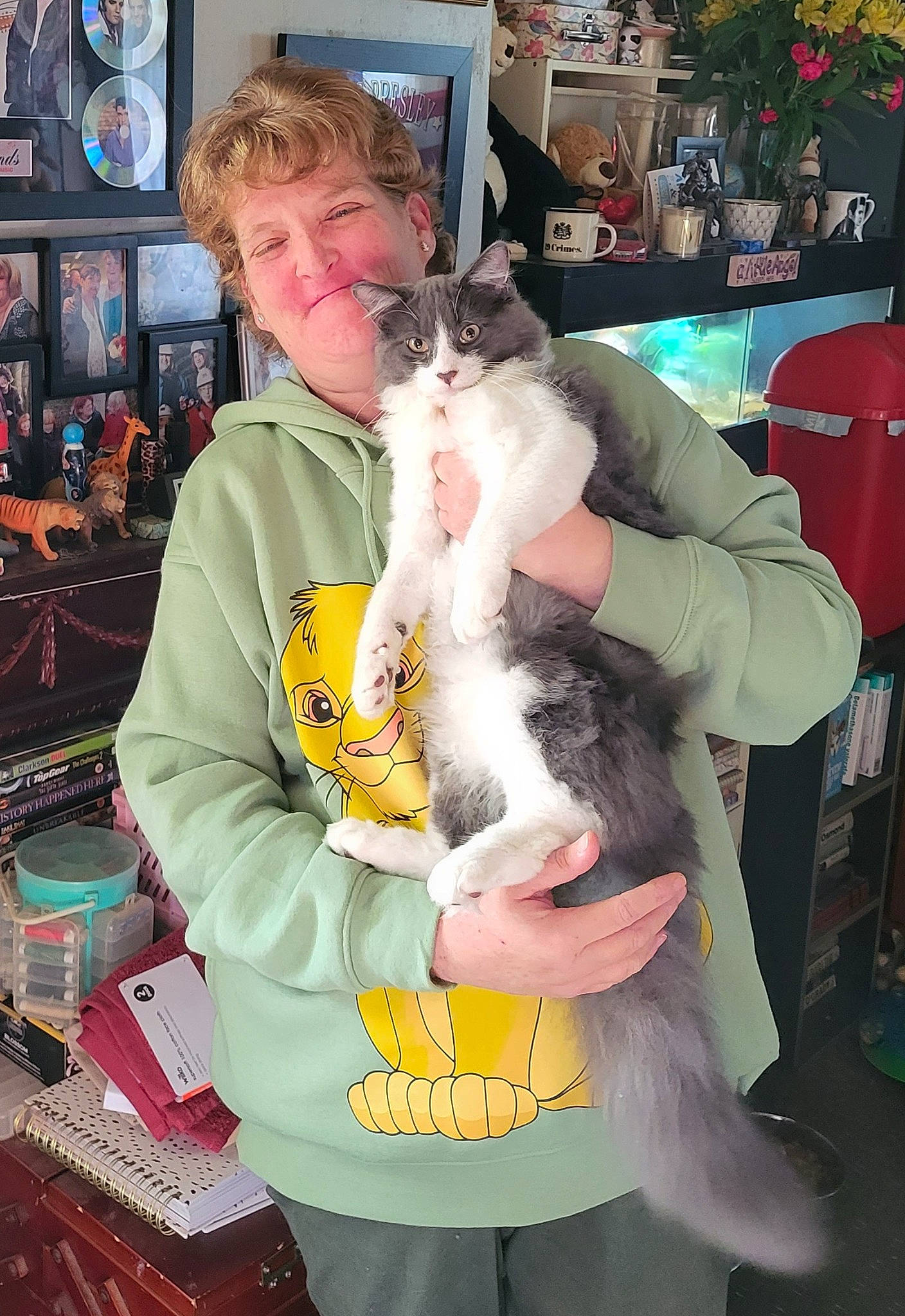 Cosmo-storm is registered to the contest to win money with this photo: canidae, carnivore, cat, chair, companion_dog, dog_breed, event, felidae, fun, fur, holiday, lap, picture_frame, small_to_medium_sized_cats, smile, whiskers