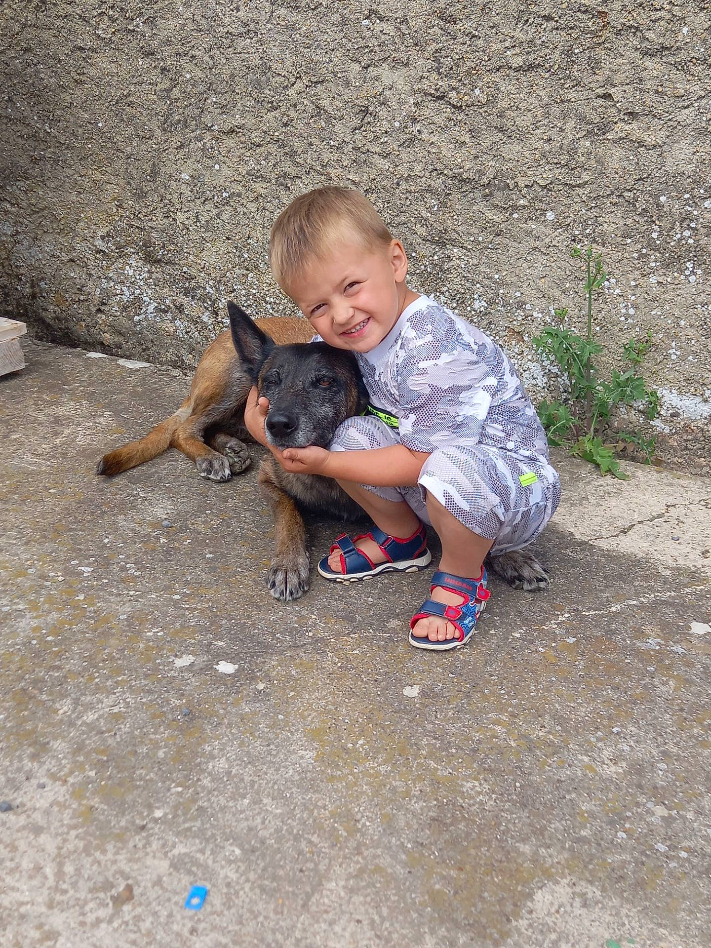 Louis a rejoint le concours — aidez-le/la à gagner de superbes lots ! asphalt, carnivore, companion_dog, dog_breed, fawn, flip_flops, foot, grass, happy, joy, leg, leisure, mammal, person, sandal, shoe, shorts, sidewalk, smile, sneakers