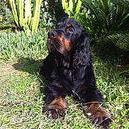 Sunny participe au concours pour gagner de l'argent avec cette photo :