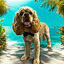 Stanley joined the competition — help win amazing prizes! dog, bow_tie, beach, water, tropical_plants, sunlight, outdoor, pet, canine, blue_sky, waves, sand, summer, nature, animal, fluffy_ears, portrait, vacation, landscape, cute