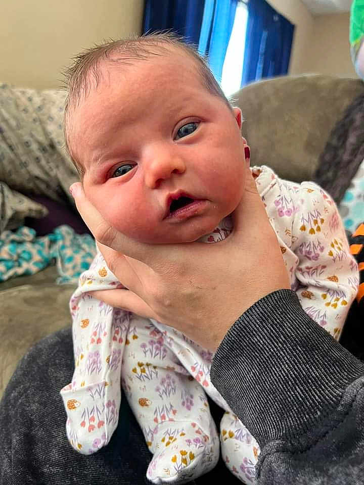 Journee Rose