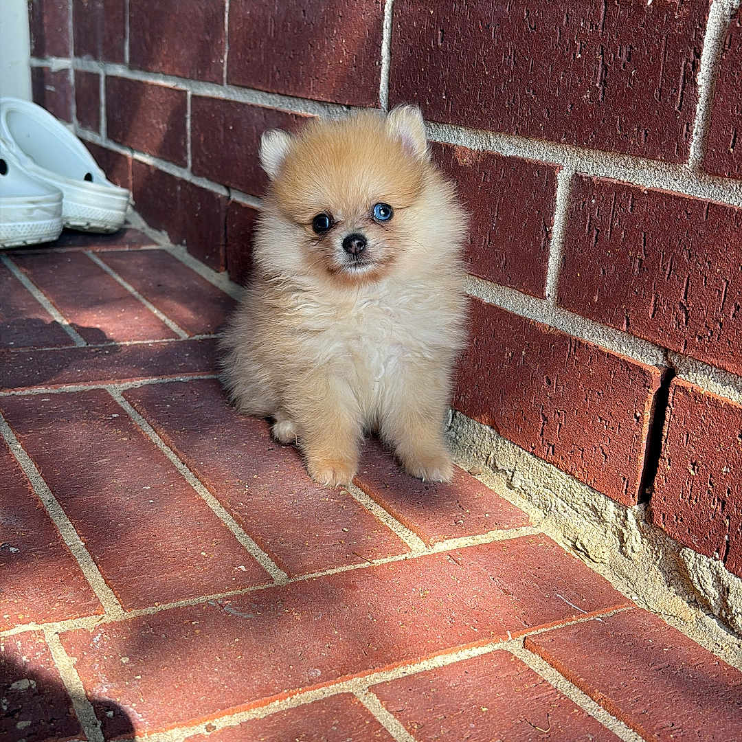 Luna