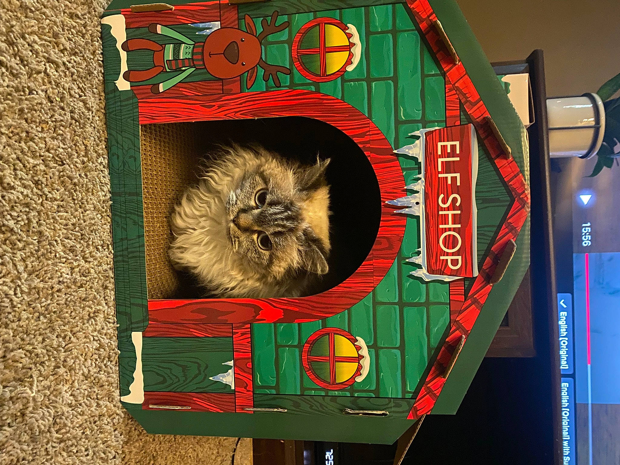 Roxanne joined the competition — help win amazing prizes! advertising, art, font, fur, signage, visual_arts