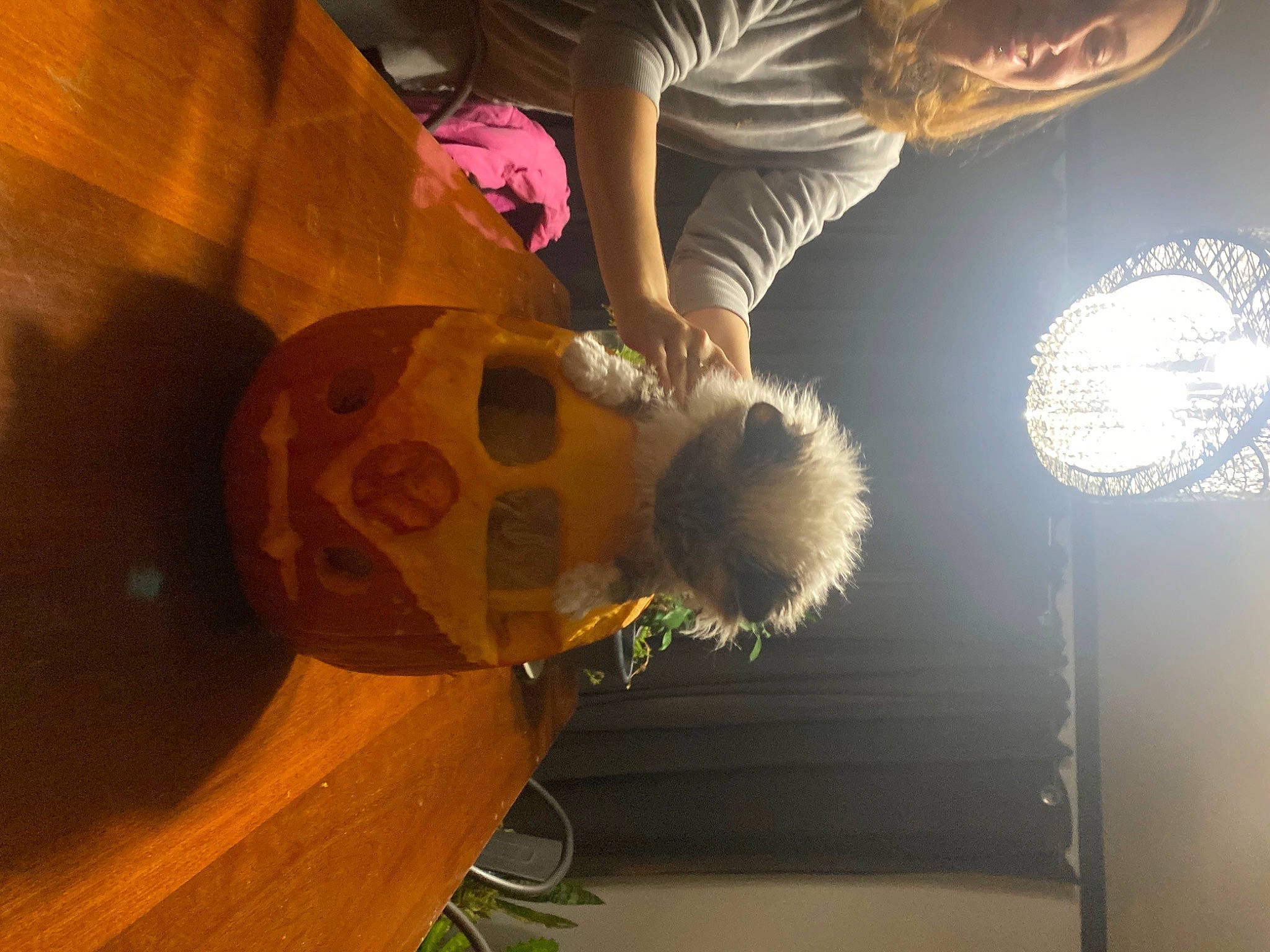 Roxanne is registered to the contest to win money with this photo: art, ceiling, circle, fun, glass, lens_flare, lighting_accessory, plant, room, sky, space, tints_and_shades, tree, visual_arts, wood