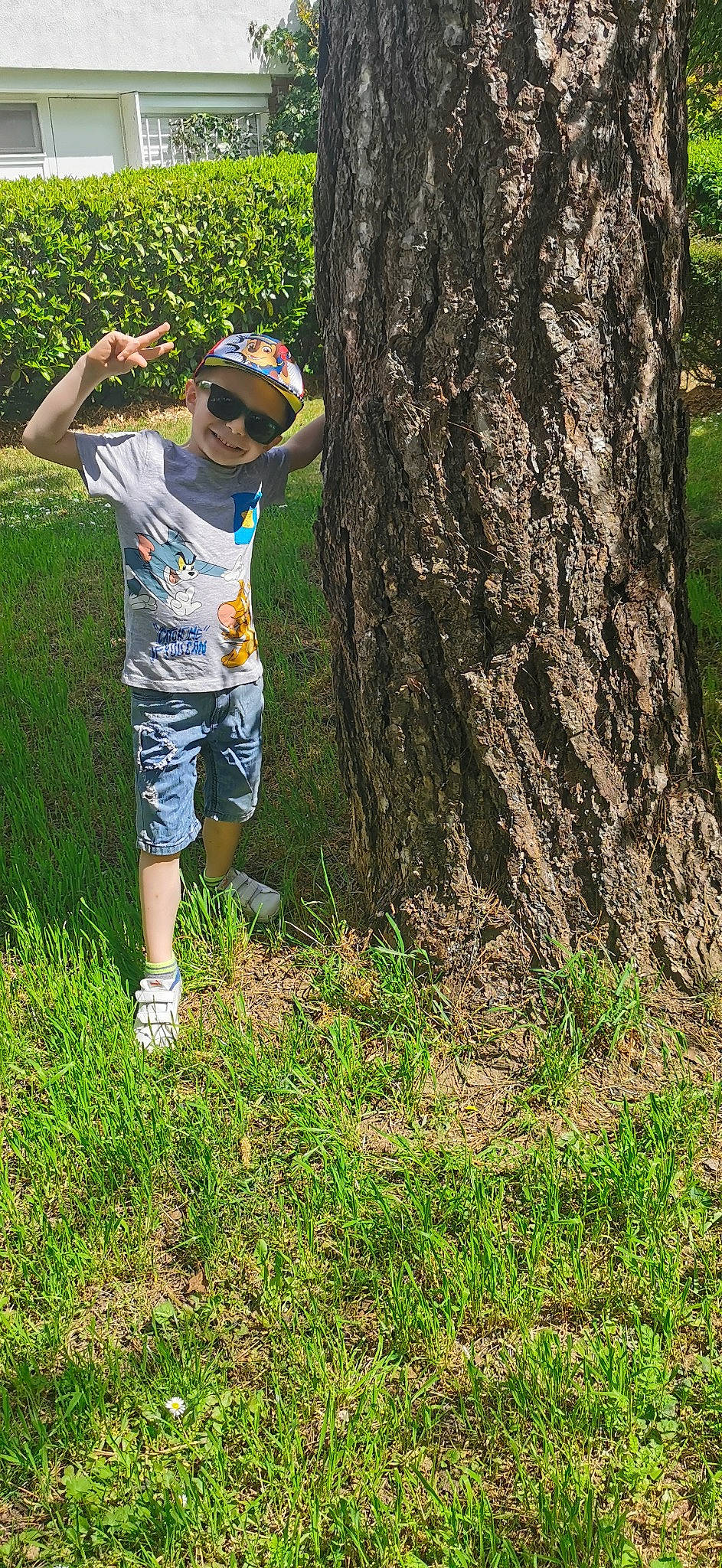 Noé a rejoint le concours — aidez-le/la à gagner de superbes lots ! baseball_cap, cap, forest, grass, green, groundcover, happy, hat, headwear, joy, people_in_nature, person, plant, recreation, shorts, sunglasses, t_shirt, terrestrial_plant, toddler, tree