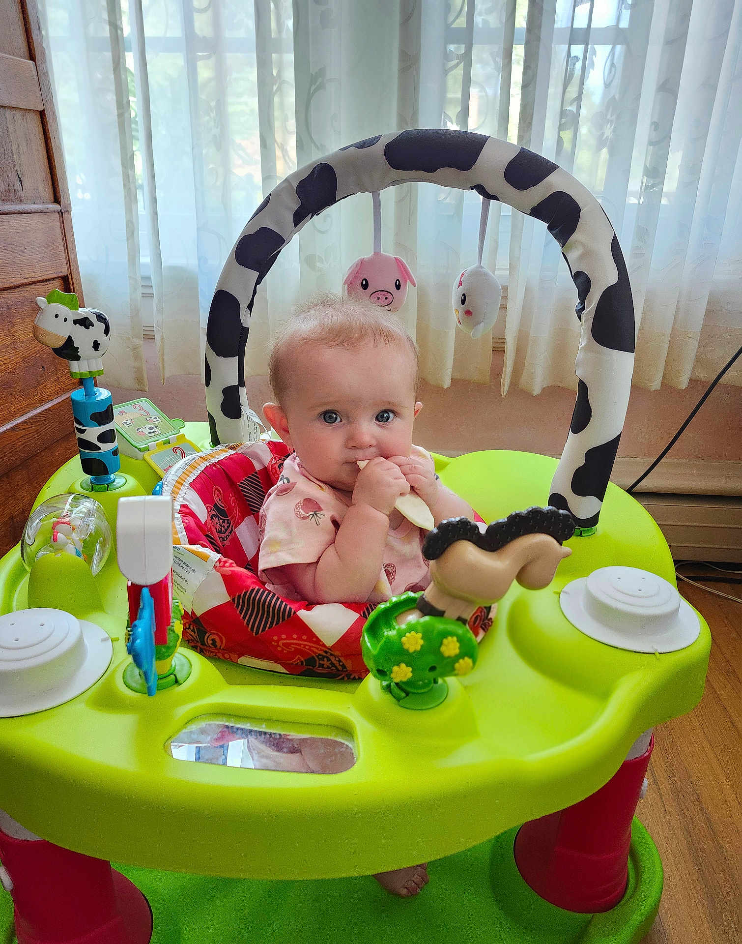 Aurora is registered to the contest to win money with this photo: baby, child, activity_center, toy, teething_toy, indoor, curtains, window, floor, furniture, plush_toy, colorful, seat, chewing, infant, person, playtime, bright, face, cute