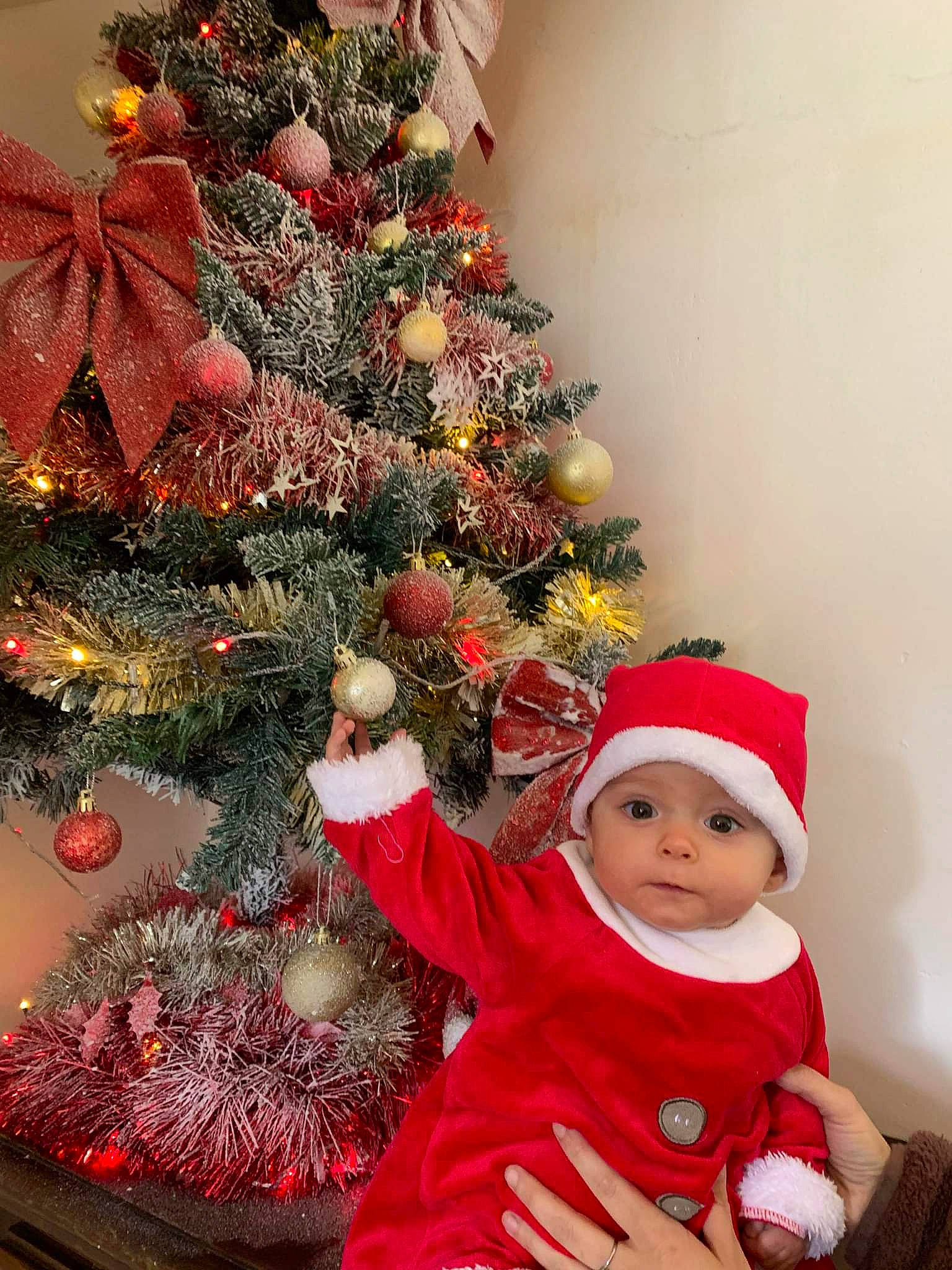 Julia participe au concours pour gagner de l'argent avec cette photo : baby, baby_toddler_clothing, cap, christmas, christmas_decoration, christmas_eve, christmas_ornament, christmas_tree, conifer, event, evergreen, headwear, holiday, holiday_ornament, ornament, person, plant, red, toddler, tradition