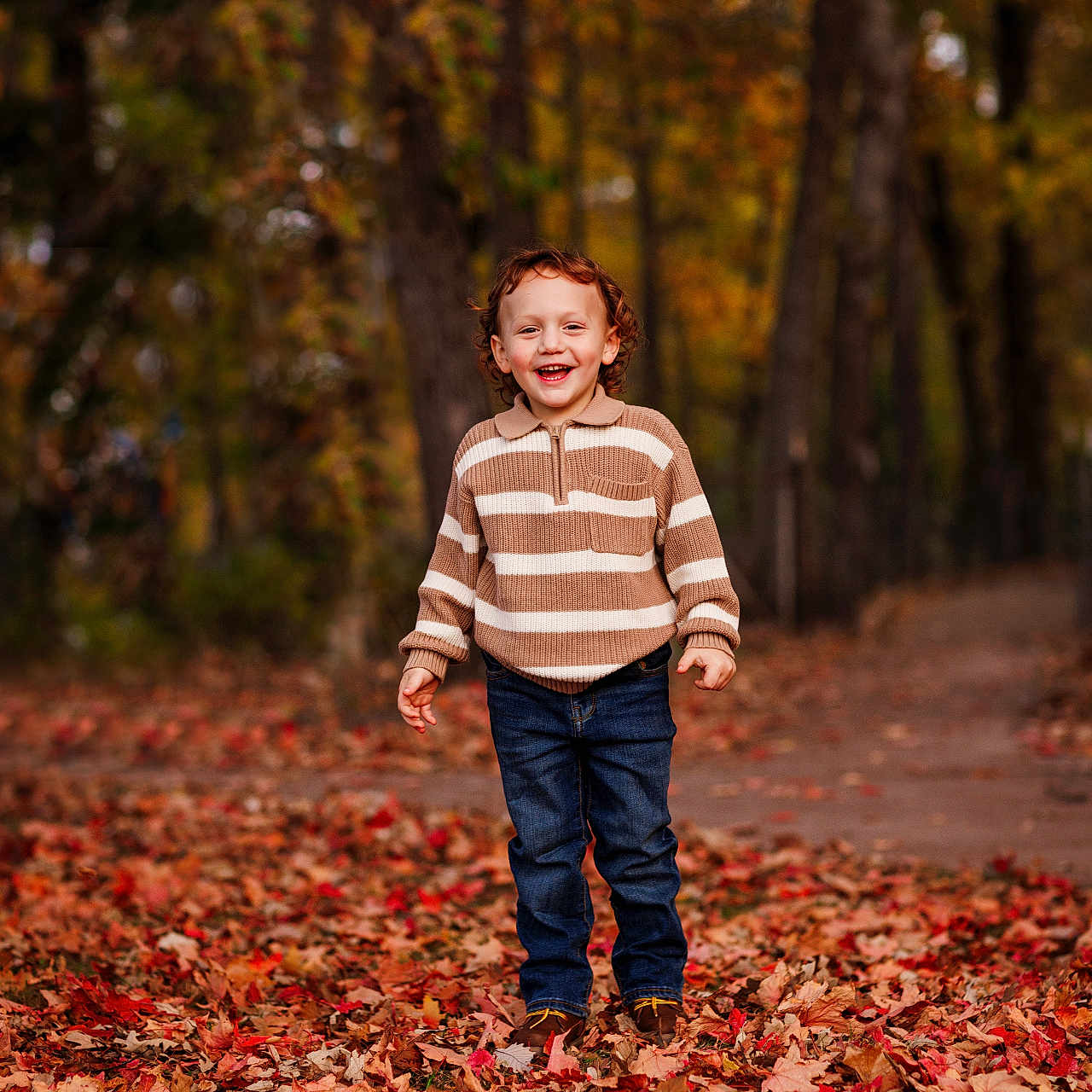 Rhettlee is registered to the contest to win money with this photo: child, smiling, autumn, fall_leaves, outdoor, trees, jeans, sweater, happy, nature, seasonal, park, walking_path, young_boy, casual_clothing, curly_hair, daylight, portrait, colorful, leaves