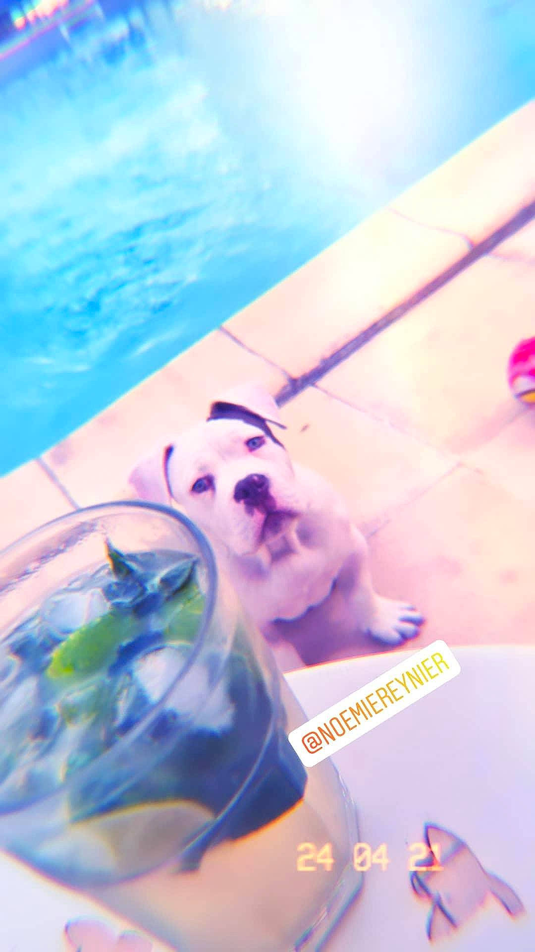 Esco participe au concours pour gagner de l'argent avec cette photo : azure, blue, cloud, electric_blue, event, eyewear, fun, leisure, light, magenta, ocean, purple, recreation, sky, violet, visual_arts, water