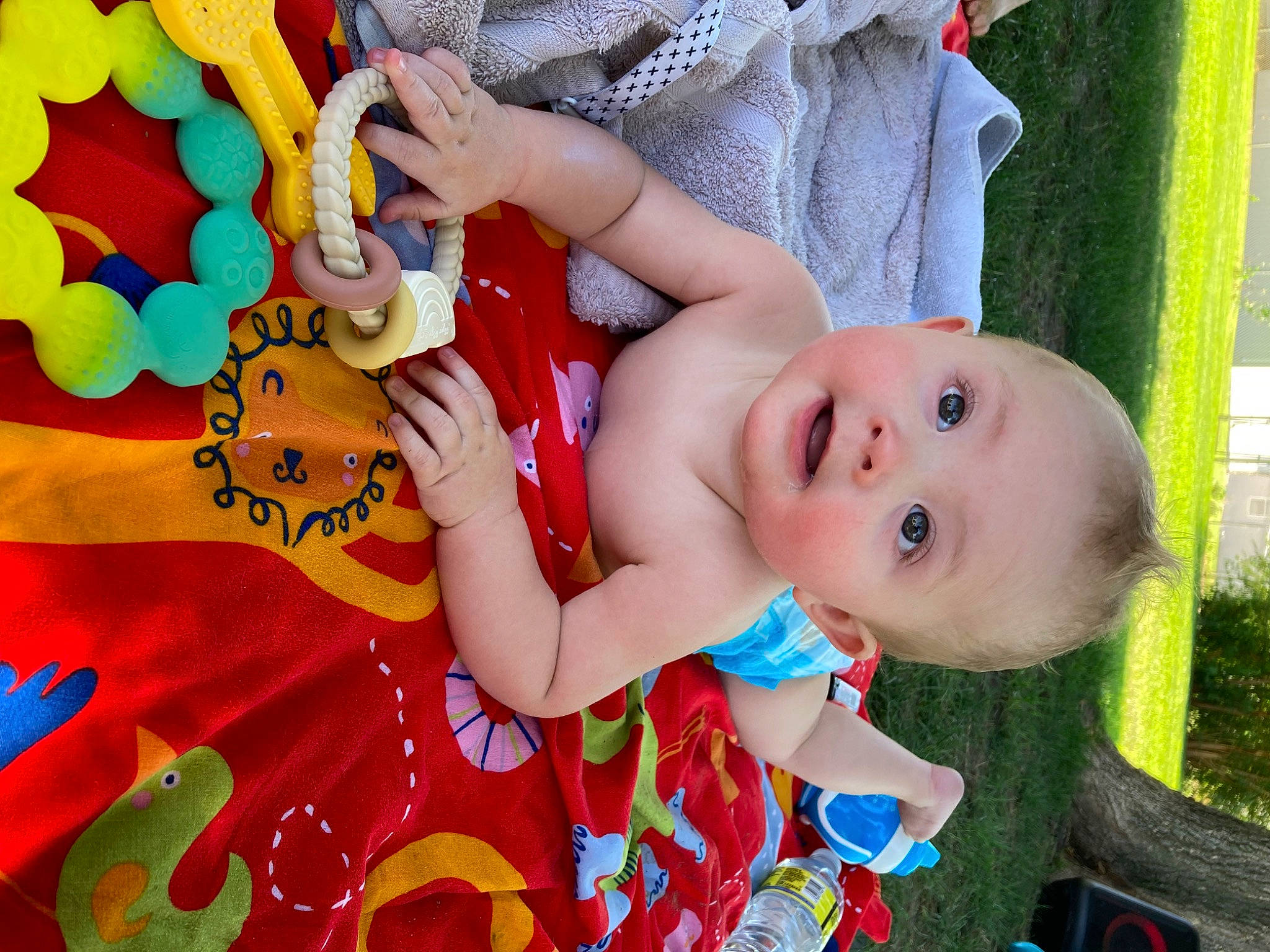 Jalen joined the competition — help win amazing prizes! arm, baby, baby_toddler_clothing, child, eye, facial_expression, fun, green, happy, head, human_body, leisure, nose, person, plant, play, product, skin, smile, summer