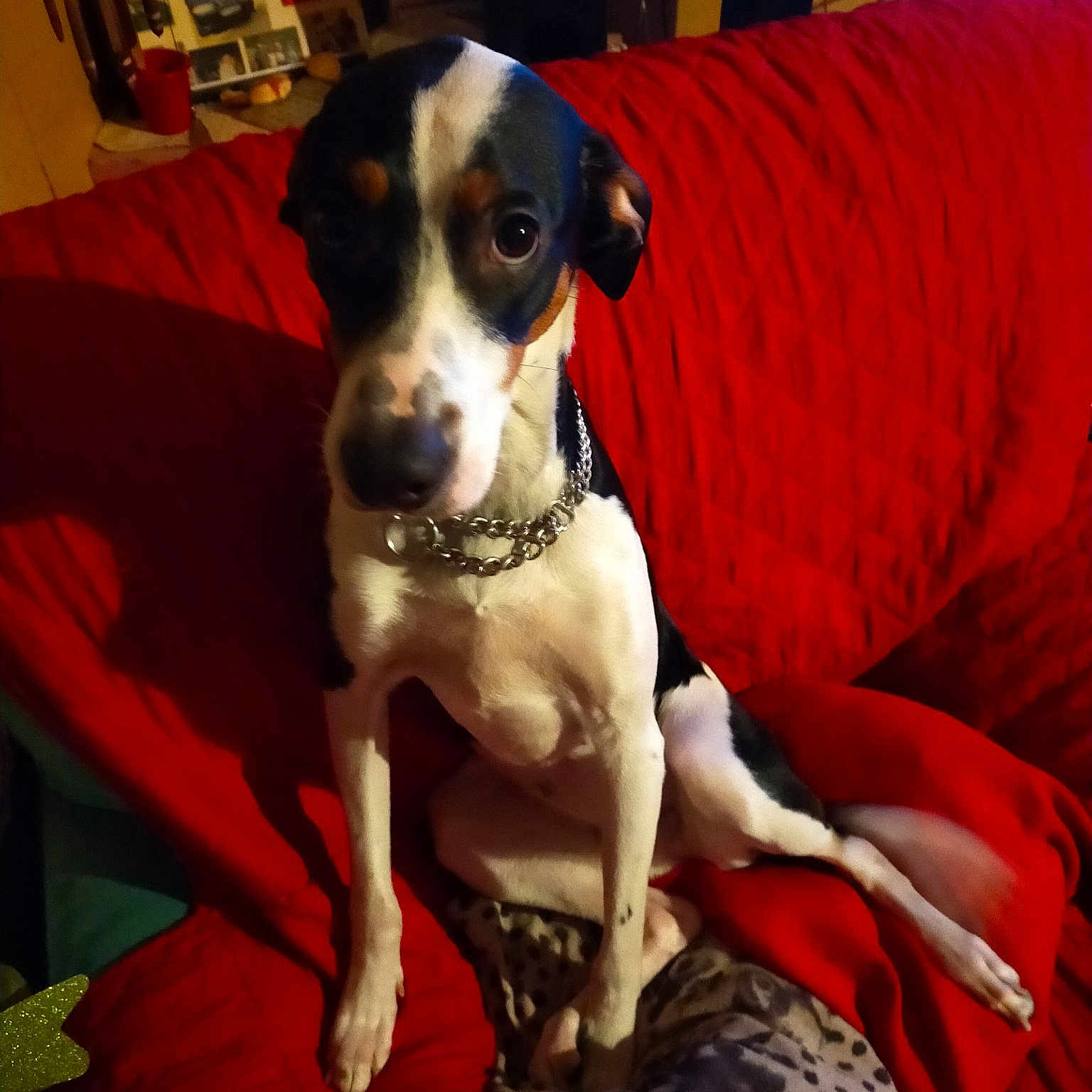 Ruby