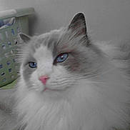 Busta joined the competition — help win amazing prizes!