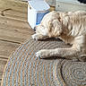 dog, golden_retriever, sleeping, relaxed, indoors, home, ottoman, rug, woven, wooden_floor, air_purifier, furniture, cozy, resting, pet, animal, cream_fur, side_profile, living_room, peaceful